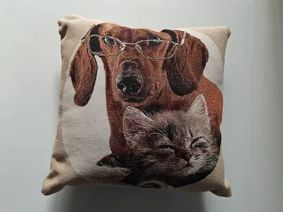 Produktbild von MEGAGROUP Dekokissen Zierkissen Sofakissenbezug mit Kissenkern 45x45 cm Hund Katze Muster