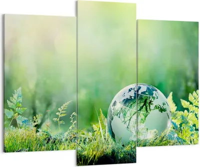 Produktbild von Bild auf Leinwand - Leinwandbild - natur natur - 130x100cm - Wand Bild - Wanddeko - Wandbilder - Leinwanddruck - Bilder - Kunstdruck - Wanddekoration - Leinwand bilder - Wandkunst - CB130x100-4041