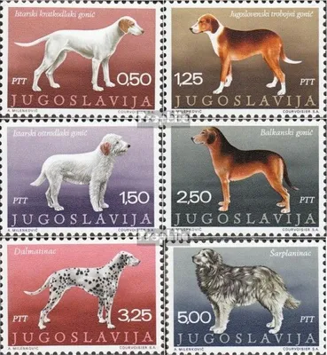 Produktbild von Briefmarken Jugoslawien 1970 Mi 1390-1395 (kompl.Ausg.) postfrisch Hunderassen