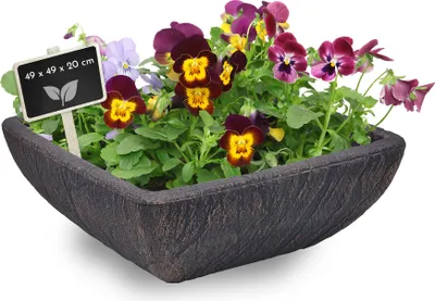 Produktbild von Pflanzschale aus Kunststoff, eckiger Pflanztopf, Grabschale, Bronze-Optik