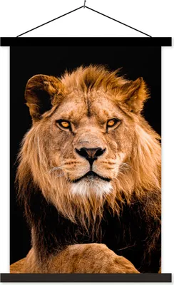 Produktbild von MuchoWow® Textilposter Löwen - Schwarz - Porträt 60x90 cm mit schwarzem Rahmen - Poster Wohnzimmer