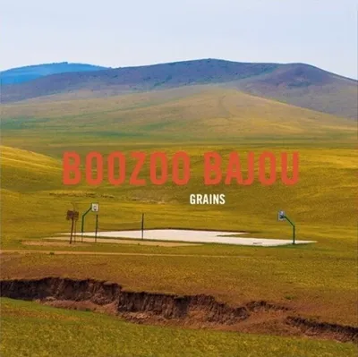 Produktbild von Boozoo Bajou - Grains (15th Anniversary Edition) (Reissue) (180 g) (2 LP)