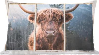 Produktbild von MuchoWow® Zierkissen Sofakissen Wohnzimmer Dekokissen 60x40 cm Hochlandrind - Berg - Aussicht - Kopfkissen - Polster mit Foto