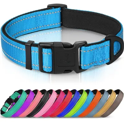Produktbild von Hundehalsband Gepolstert Neopren Nylon Verstellbar Reflektierend Blau Größe M