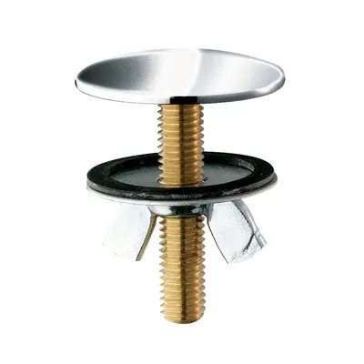 Produktbild von Delabie Hahnlochstopfen verchr. D45mm