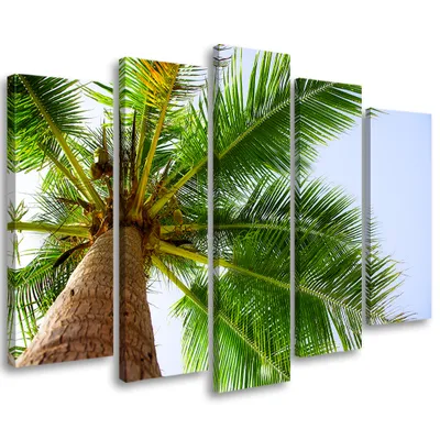 Produktbild von 5-teiliges leinwandbild palme 200x100 cm Feeby grün wandbild bereit zum aufhängen