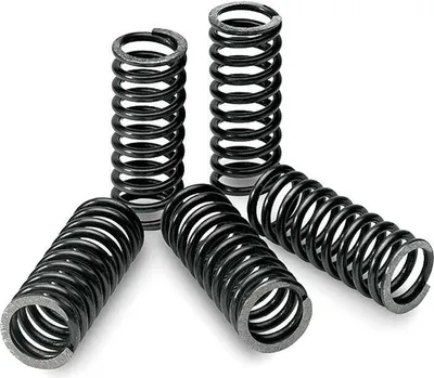 Immagine prodotto di Tecnium Spr0136 Set di molle per frizione Kawasaki Argento Argento Taglia unica