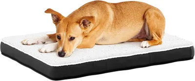 Produktbild von Orthopädisches Hundekissen 91x69 cm, L, Memory-Schaum, waschbar, rutschfest, für Hundekorb
