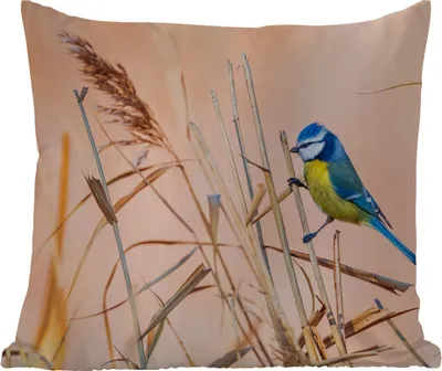 Produktbild von MuchoWow® Outdoor Kissen - Vogel - Blaumeise - Schilf - 40x40 cm - Wetterfest - Lounge Kissen - Kopfkissen - Interieur - Polster mit Bild
