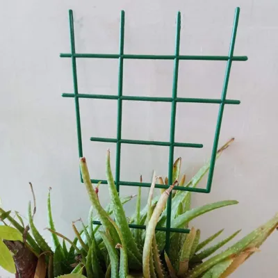 Produktbild von 5-teiliges, erweiterbares, mehrschichtiges Gitter-Kunststoff-Klettergitter für Grünpflanzen für Morning Glory