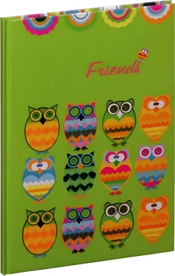 Produktbild von Freundebuch Eulen 60S 4009212041937