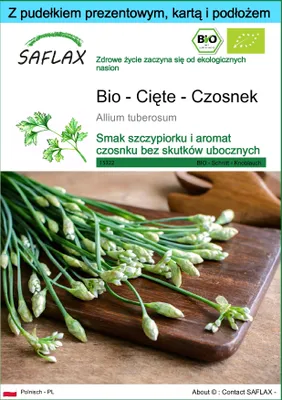 Zdjęcie produktu dla SAFLAX - Zestaw prezentowy - Bio - Cięte - Czosnek - 100 Nasiona - Z pudełkiem upominkowym, etykietą wysyłkową, kartą podarunkową i podłożem uprawowym - Allium tuberosum