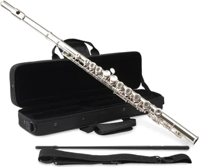 Image de Classic Cantabile FL-100