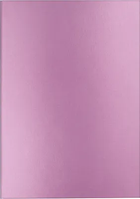 Image de CARAN D'ACHE 454410 CARAN D'ACHE Carnet de notes COLORMAT-X, DIN A5, ligné, rose