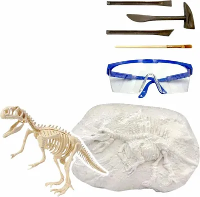 Produktbild von Paläontologen-Ausgrabungsset Dinosaurier-Skelett-Werkzeuge