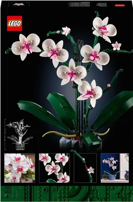Produktbild von Orchidej