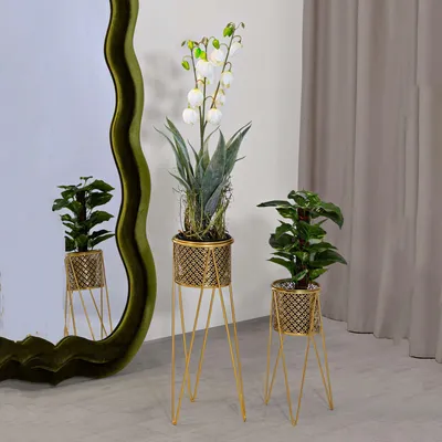 Immagine prodotto di Ranya - Vaso, oro, set 2 Vasi, Portavasi Rimovibili