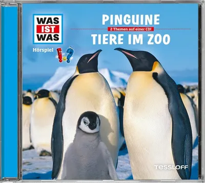 Image de Qu'est-ce que c'est que l'épisode 28 : Les pingouins/les animaux du zoo