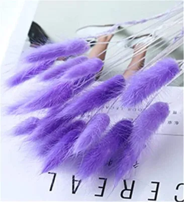 Produktbild von 30pcs Pampasgras Natürliches Getrocknetes Getrocknet Blumen Klein Trockenblumen Gartendekoration Hochzeit Deko