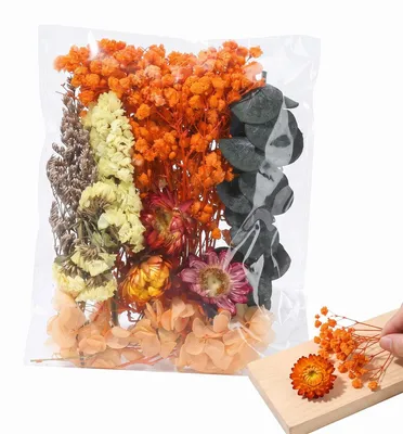 Trockenblumen-Set, Orange, 1 Stück, natürliche Blumen für DIY