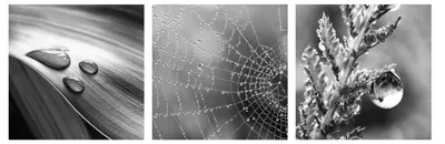 Produktbild von Obraz na szkle GLASSPIK DROPS 3x20x20