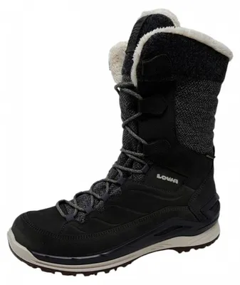 Produktbild von Lowa Barina EVO GTX Wanderschuh Grau