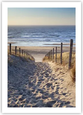 Produktbild von Poster - Poster ohne Rahmen - Meer Strand Düne - 50x70 cm - Wand Bild - Wanddeko - Wandbilder - Kunstposter - Wandposter - Bilder - Kunstdruck - Wanddekoration - Wandbild - P2XPA50x70-3612