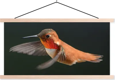 Produktbild von MuchoWow® Textilposter Kolibri - Federn - Schwarz 120x60 cm mit holzfarbenen Rahmen - Klemmleiste
