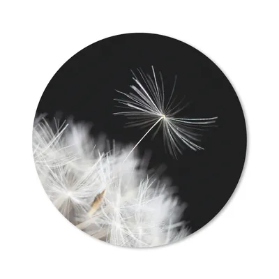Produktbild von MuchoWow® Mauspad Mousepad Blume - Löwenzahn - Pflanze 20x20 cm - Mousepads - Maus Mat - Pad - Mausunterlage - Schreibtischmatte