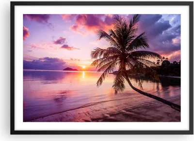 Produktbild von Gerahmtes Poster - Schwarzer Rahmen - Strand Meer Palme - 70x50 cm - Wand Bild - Wanddeko - Wandbilder - Kunstposter - Wandposter - Bilderrahmen - Bilder - Kunstdruck - Wandbild - P2BAA70x50-3912