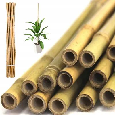 Obrázek produktu pro Deco4Home Bambusová tyč na podporu rostlin | 12-14mm | 120cm | Bambus