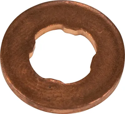 Produktbild von Original Dichtring Wärmeschutzscheibe OE 55245288 55215424