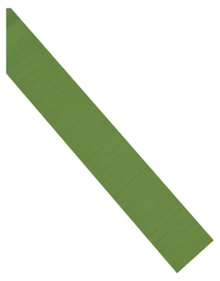 Zdjęcie produktu dla Etykiety Magnetoplan ferrocard, zielone, 40 x 10 mm