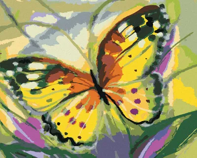 Immagine prodotto di Zuty - Dipingere con i numeri - FARFALLA GIALLETTA, 40x50 cm, senza cornice e senza tela tesa