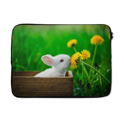 Produktbild von MuchoWow® Laptop Hülle 14 ZollKaninchen - Löwenzahn - Gras Laptoptasche - Laptoptasche - Stoßsicher - Schutzhaube