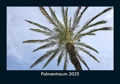 Produktbild von Palmentraum 2025 Fotokalender DIN A5