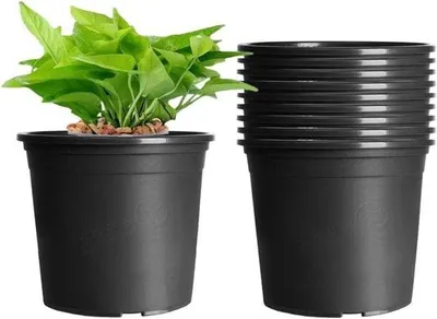 Immagine prodotto di 10 vasi da fiori in plastica da 16 cm, neri, per interni e giardino