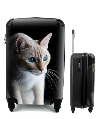 Produktbild von MuchoWow® Koffer Handgepäck Trolley Rollkoffer Kleine Reisekoffer mit 4 Rollen - Katze mit leuchtenden Augen - Cabin Size < 55x40x23 cm & 55x40x20 cm - Fotokoffer - Kabinenkoffer - Boardgepäck - Reise-Box - Reisekoffer - Reisegepäck - Koffer mit Bild - Trolley für Kinder