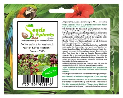 Produktbild von 10x Coffea arabica Kaffeestrauch Garten Kaffee Pflanzen - Samen B993