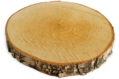 Image de Rondelles d'arbre 1 pc. Bois de décoration Rondelle de bois Plaque de bois 20 - 25 cm