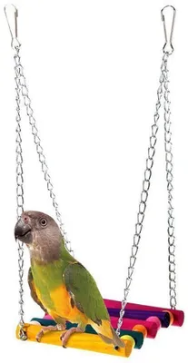 Produktbild von Für Haustier Vogel Papagei Sittich Wellensittich Nymphensittich Käfig Hängematte Schaukel Hängendes Spielzeug Zubehör