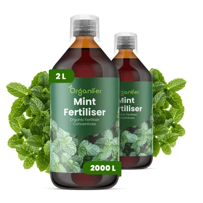 Produktbild von Mint Flüssigdünger 2x1L – 2-1-8 NPK – Flüssig-Pflanzendünger für Minze – Organifer