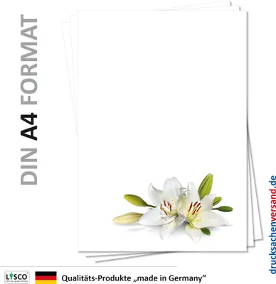 Produktbild von Motiv Briefpapier (Blumen-5148, DIN A4, 25 Blatt). Einseitig bedrucktes Briefpapier,  beschreibbar, für alle Drucker/Kopierer geeignet, Motivpapier mit weißen wunderschönen Lilien, welche für Reinheit und Schönheit stehen