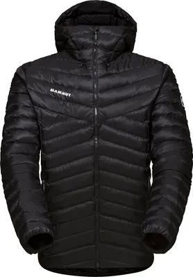 Produktbild von MAMMUT Albula IN Hooded Jacket Men 0001 black M