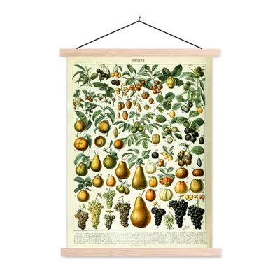 Produktbild von MuchoWow® Textilposter Adolphe Millot - Jahrgang - Obst - Birne - Trauben 120x160 cm mit holzfarbenen Rahmen - Plakatkarton