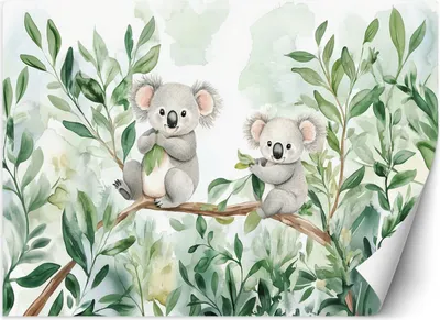 Zdjęcie produktu dla Fototapeta filzelinowa dziecięca Misie Koala Liście eukaliptusa 200x140 cm Feeby Zielony klej w zestawie  łatwa w montażu