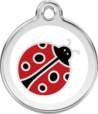 Image de Médaille pour chien RedDingo avec gravure personnalisée Coccinelle blanche, taille : M