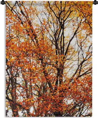 Produktbild von MuchoWow® Wandteppich Wandbehang Wald - Herbst - Jahreszeiten 60x80 cm Tapisserie Dekoration Wandtuch - Decke - Wandtücher - Wohne
