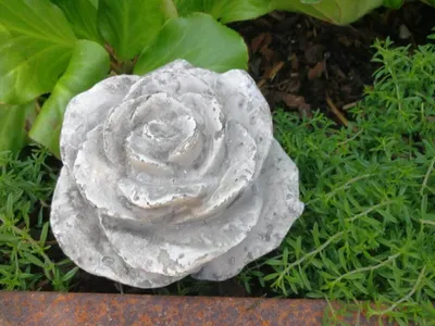 Immagine prodotto di Scatola decorativa in poliresina - 18 cm