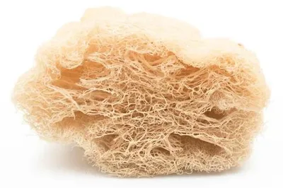 Productafbeelding van Food for Skin Veggie Sponge - 100% Natural Loofah